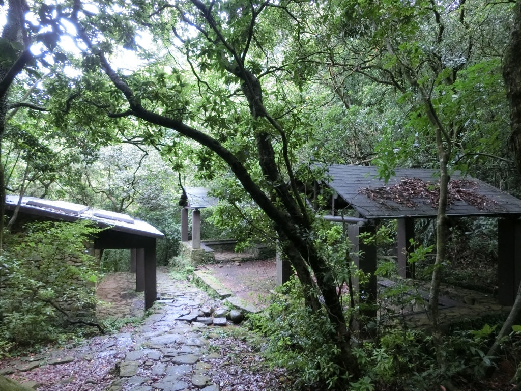 魚路古道．擎天崗．竹篙山_94455