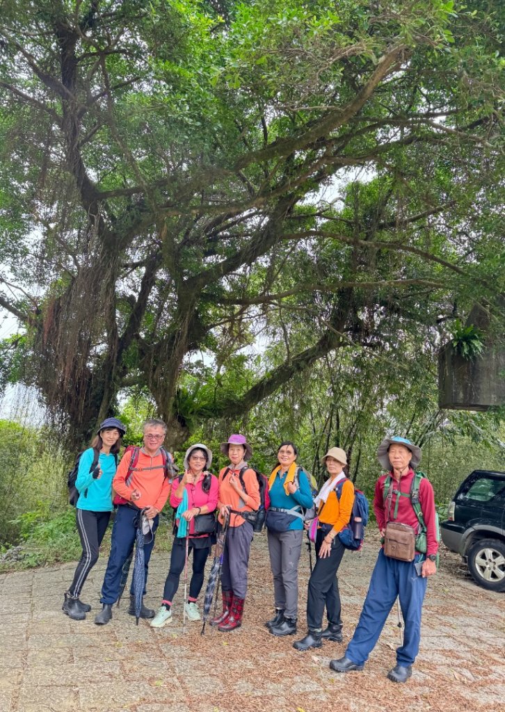 南港山(小百岳#13)/中華科技大學南港山來回_2938330