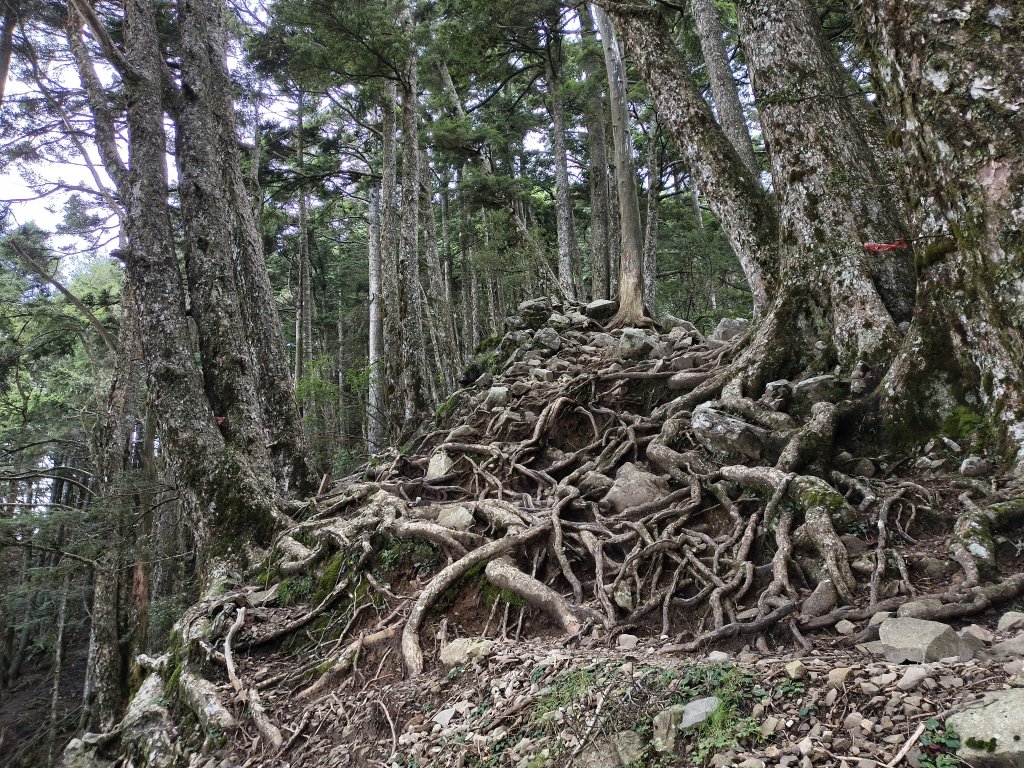 北一段(13/14)審馬陣山 2025_0906~13_2887586