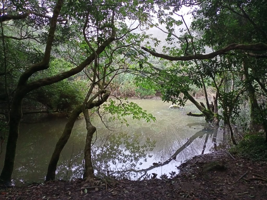 【臺北大縱走 1】二子坪→面天山→清天宮_1274618