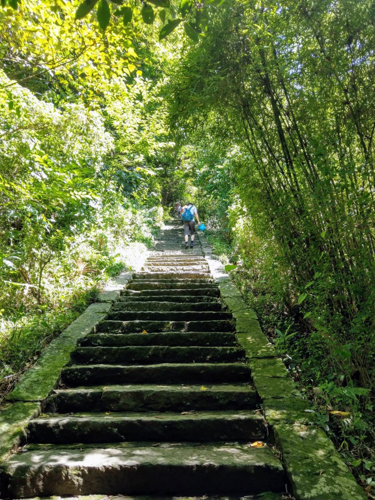 觀音山(小百岳#5)硬漢嶺及楓櫃斗湖步道_980394