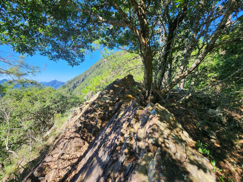 20241013東南稜上東卯山_2670988