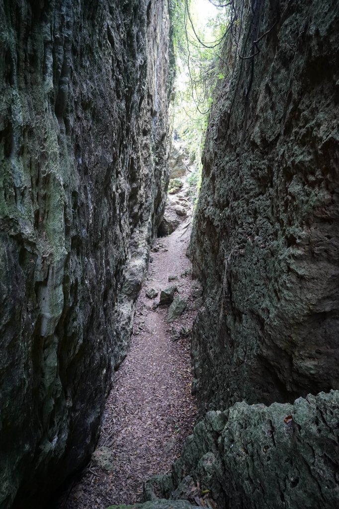 【霧霾】【柴山龍谷步道】_2711775
