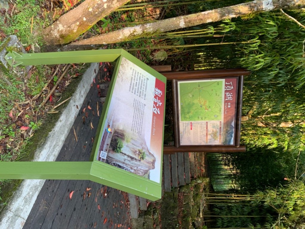 頂湖環湖步道_1117468