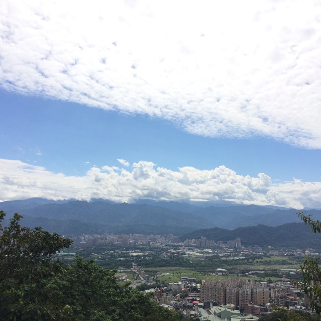 鶯歌長壽步道-石雲森林步道_樹林大棟山封面圖