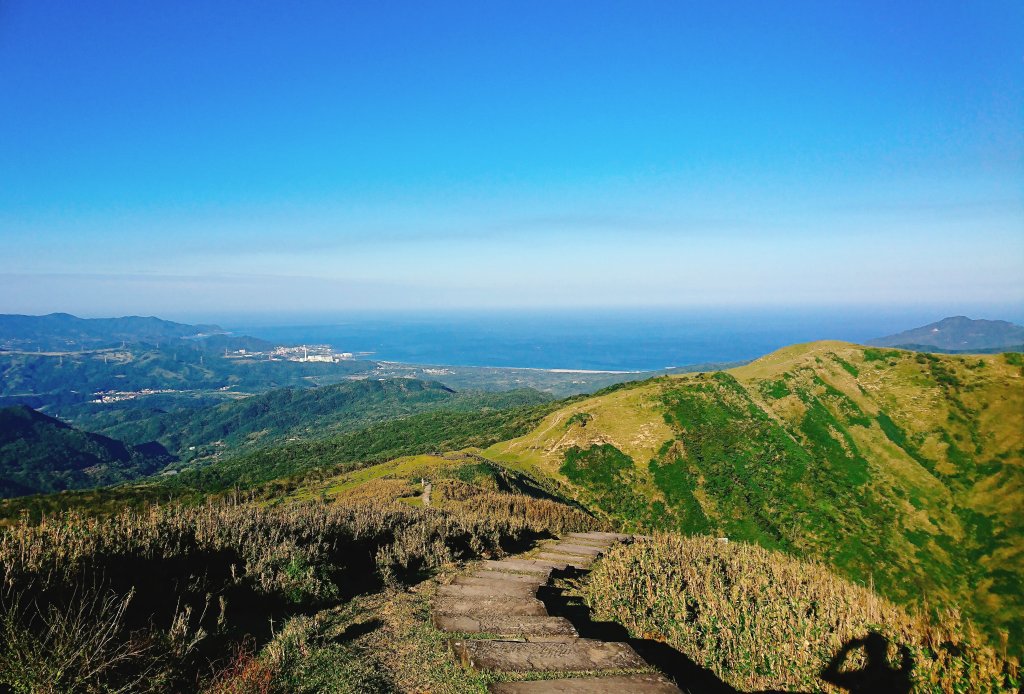 灣坑頭山封面圖