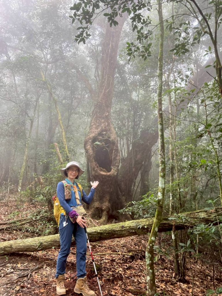 🌈12/14(日)南部最佳百岳練習場~小百岳-尾寮山✨FB：熊熊趴爬走🌈_2961695