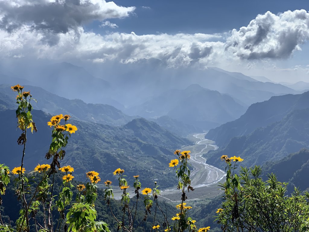 【小百岳】馬那邦山：竹林、楓葉、古戰場封面圖