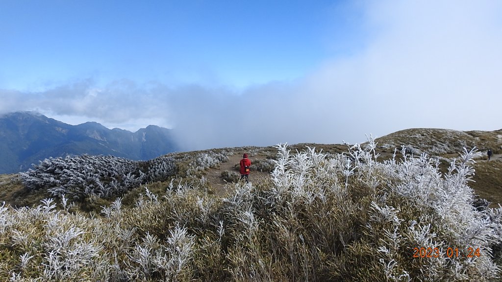 雪,白了山頭.雲,活了天空-寒流追雲趣,第七次合歡山主/東/北峰獨攀單攻(車接駁)20230124_2004281