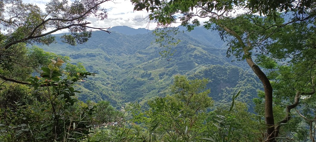 2024/06/30-大克山砲台古道_2539732
