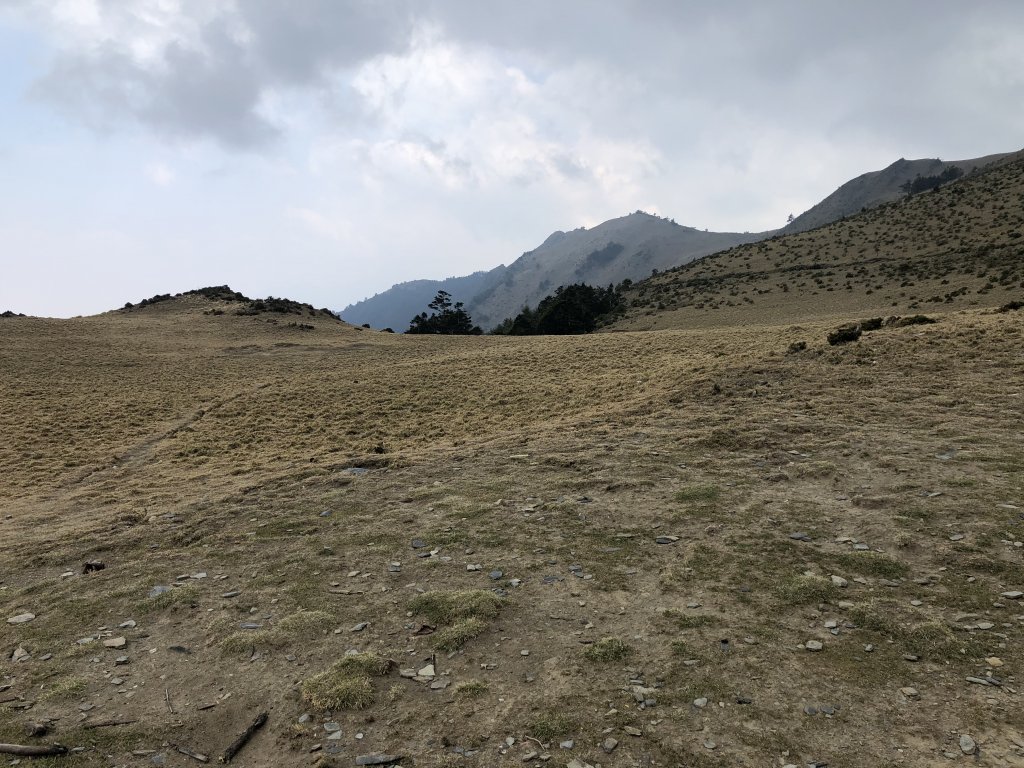 2020_0327_南二段_2032932
