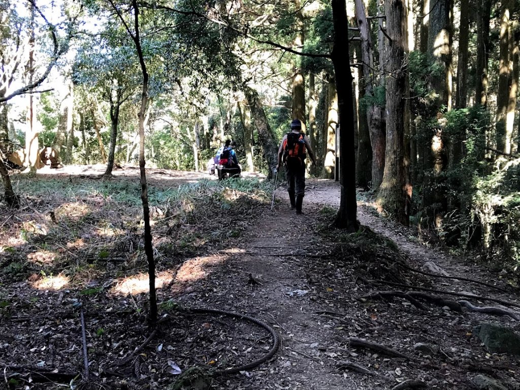 加里山大坪登山口20191124_1965194