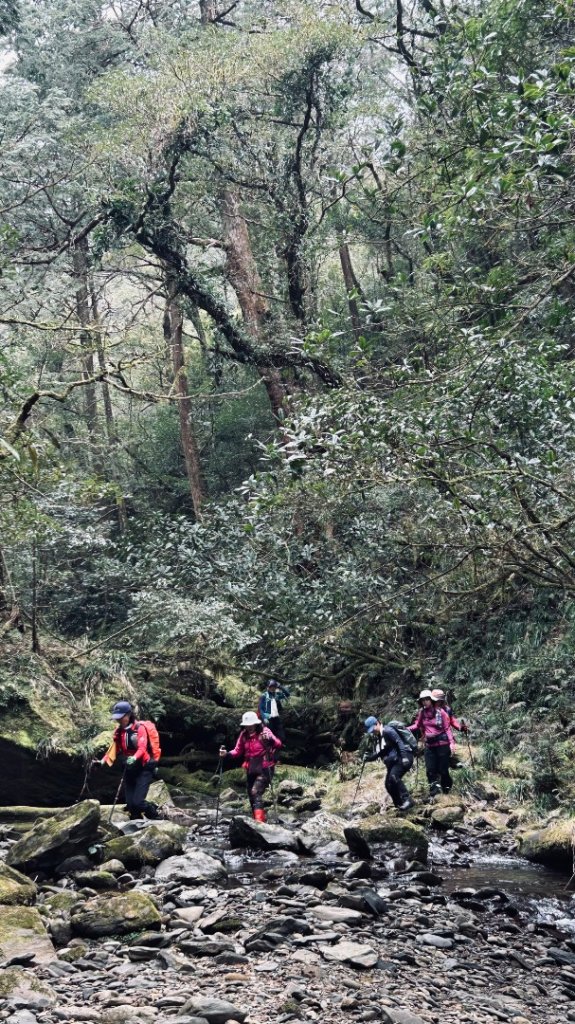 復興赫威神木_2748193