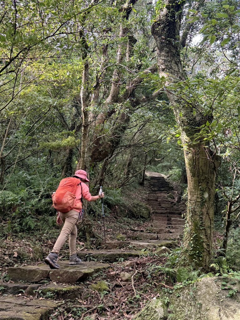 二子坪步道 經遊憩區 上面天山 20251108_2935046