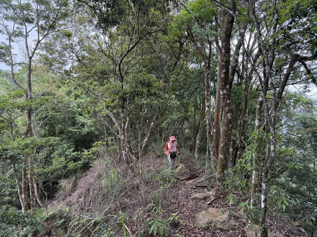 白毛山O繞+臭頭山 20250517_2791751