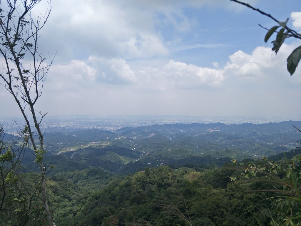 大坑4號步道&頭嵙山_374934