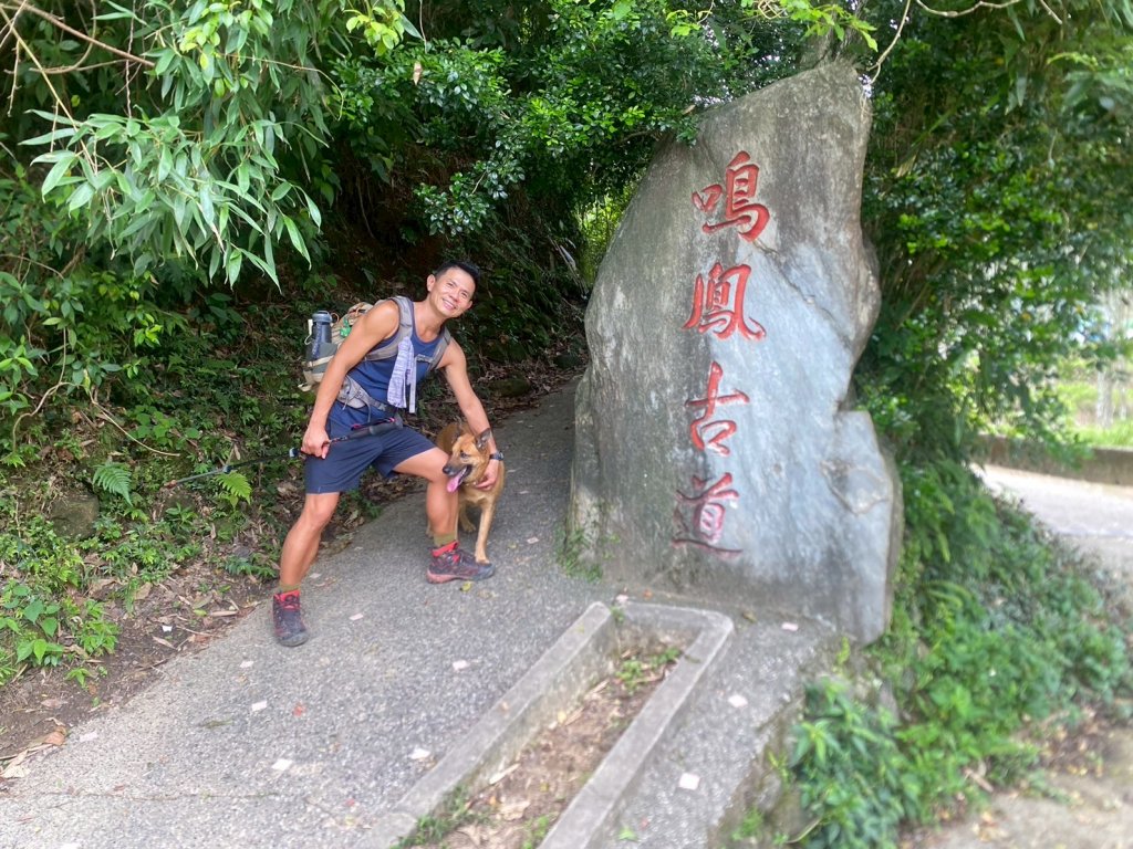 南隘勇古道.龍骨古道.綠色古道.延平古道.鳴鳳古道【一條很單調 一群才精彩】_2812053