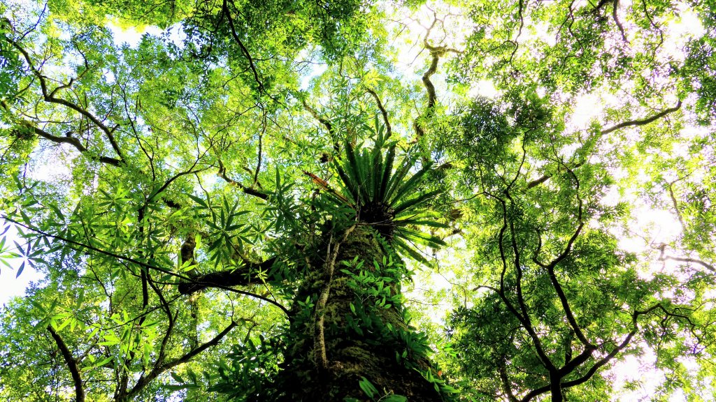 拔刀爾山_2889233