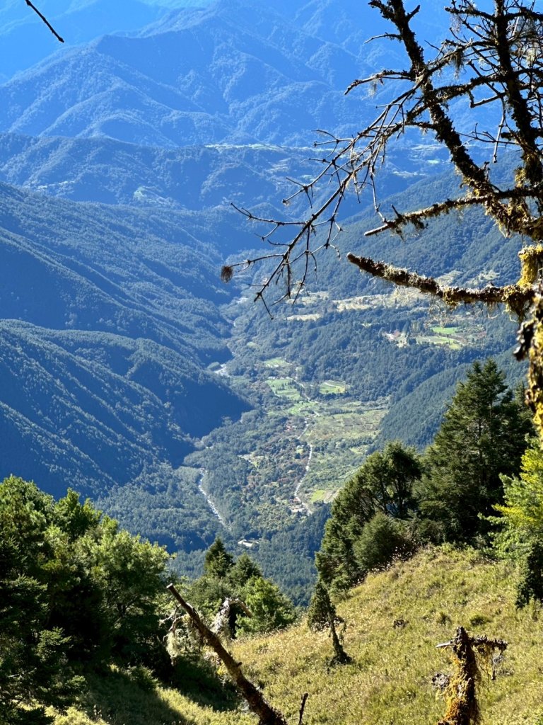 1141108-09桃山單攻_2936100