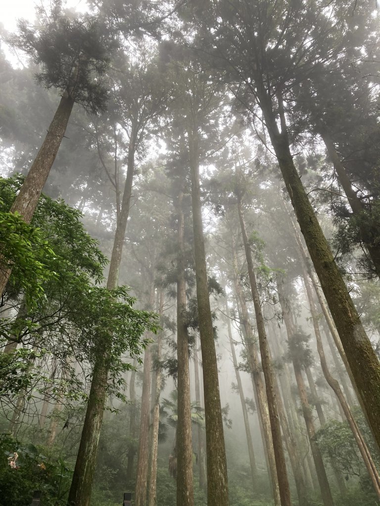 2023-09-30 頂石棹 雲之道_2300717