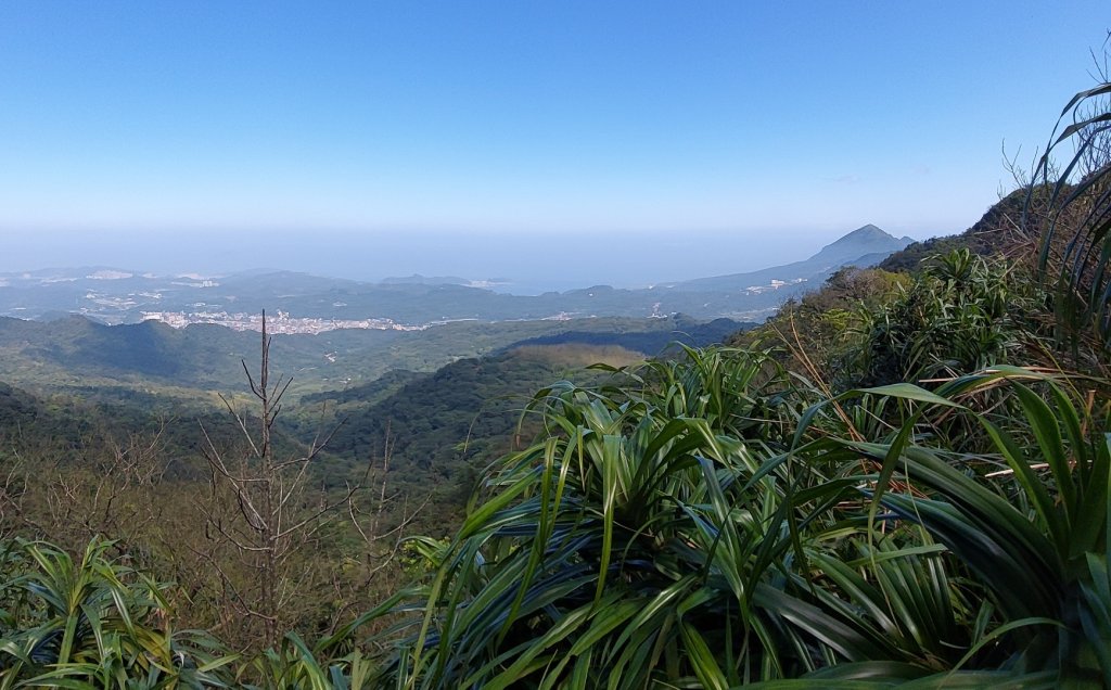 蛇來運轉之蛇年爬蛇山  蛇子形古道-三爪子坑山-蛇子崙山O型_2783982