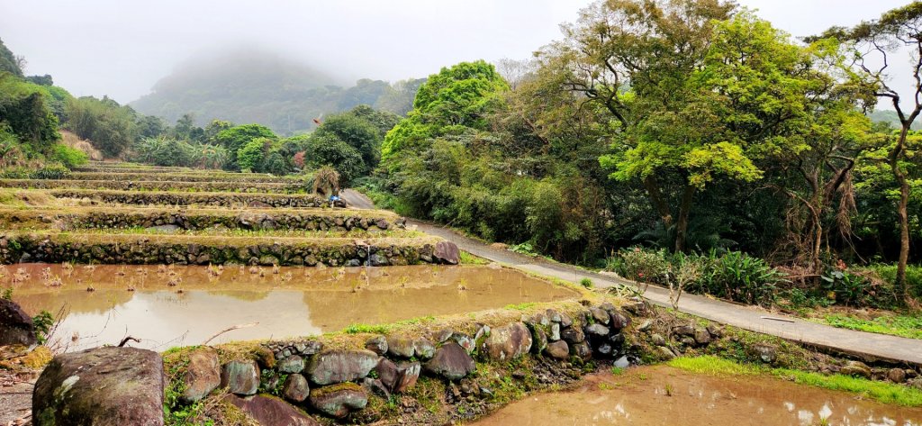 大砲岩，石壇山，大屯溪古道，三板橋，白雞山，雞罩山，石門內尖山，中和外員山，中坑山東北峰_2073332