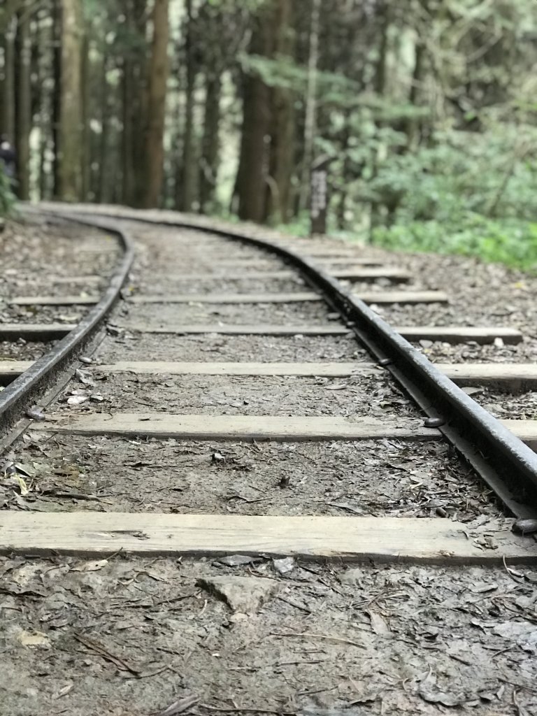 109年6月26日特富野古道_1027083