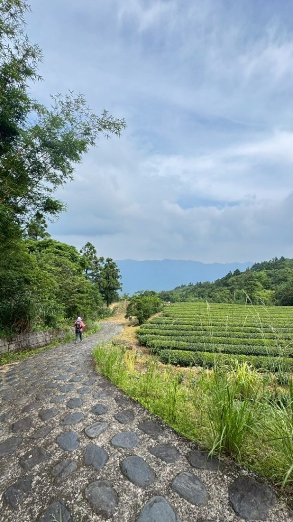 南勢坑山、鑽石峰、人面頭山、獅公髻尾山O走_2809801