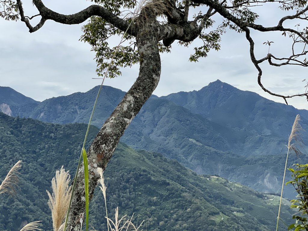 比大鳥縱走_1896065