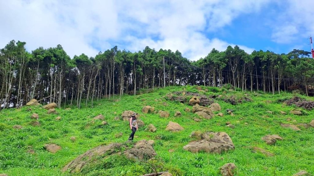 五指山O繞大隘山封面圖