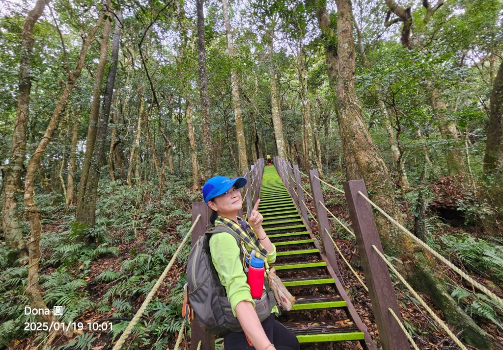 小百岳馬那邦山(H1407m)加碼採草莓_2694651
