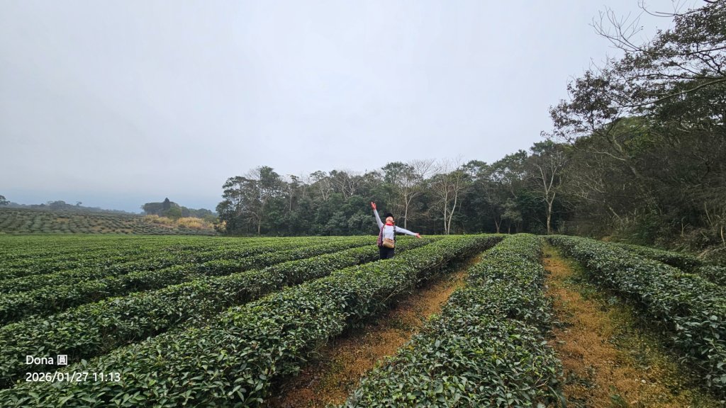 20260127三通嶺山.三義山(大桁茂山).慈濟山.大坪山大O走_2989918