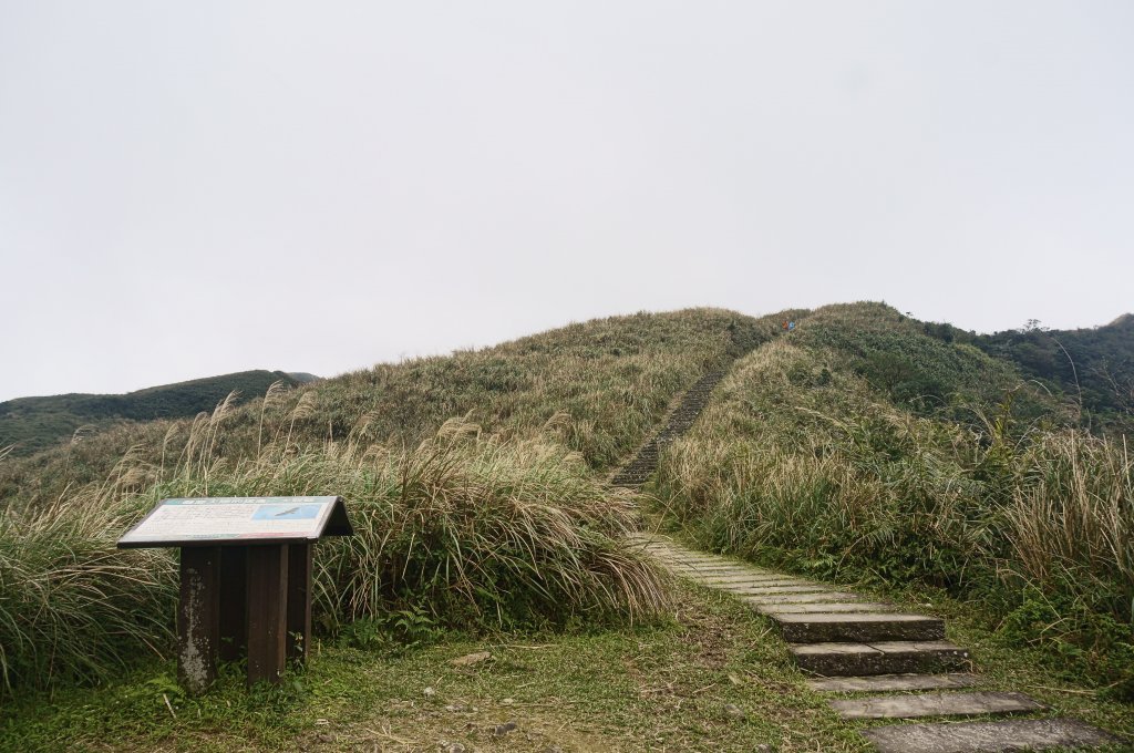 灣坑頭山 桃源谷步道 連走_2034818