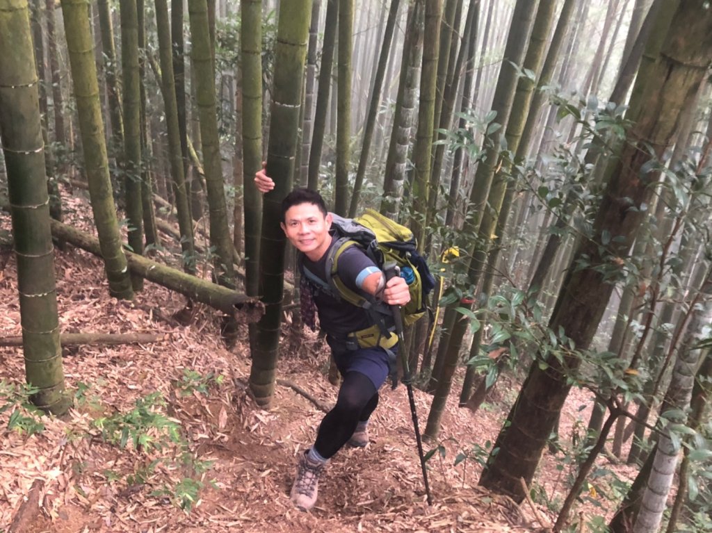 溪頭鳳凰山【過關斬將 登上山巔變鳳凰】_1168900