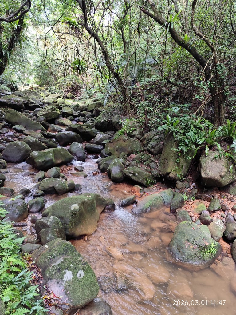 【臺北大縱走 4】大湖公園→大溝溪生態治水園區→圓覺瀑布→峯碧山圓覺寺→碧山巖→白石湖吊橋→碧湖公園_3008960