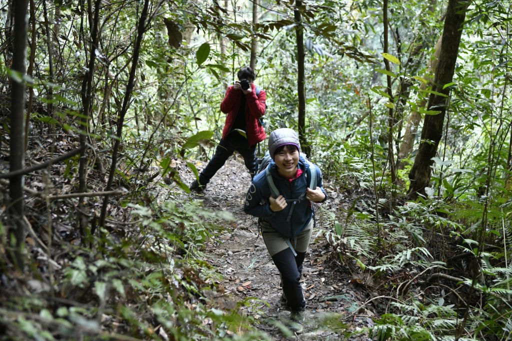 唐麻丹山。蝴蝶谷_1243084