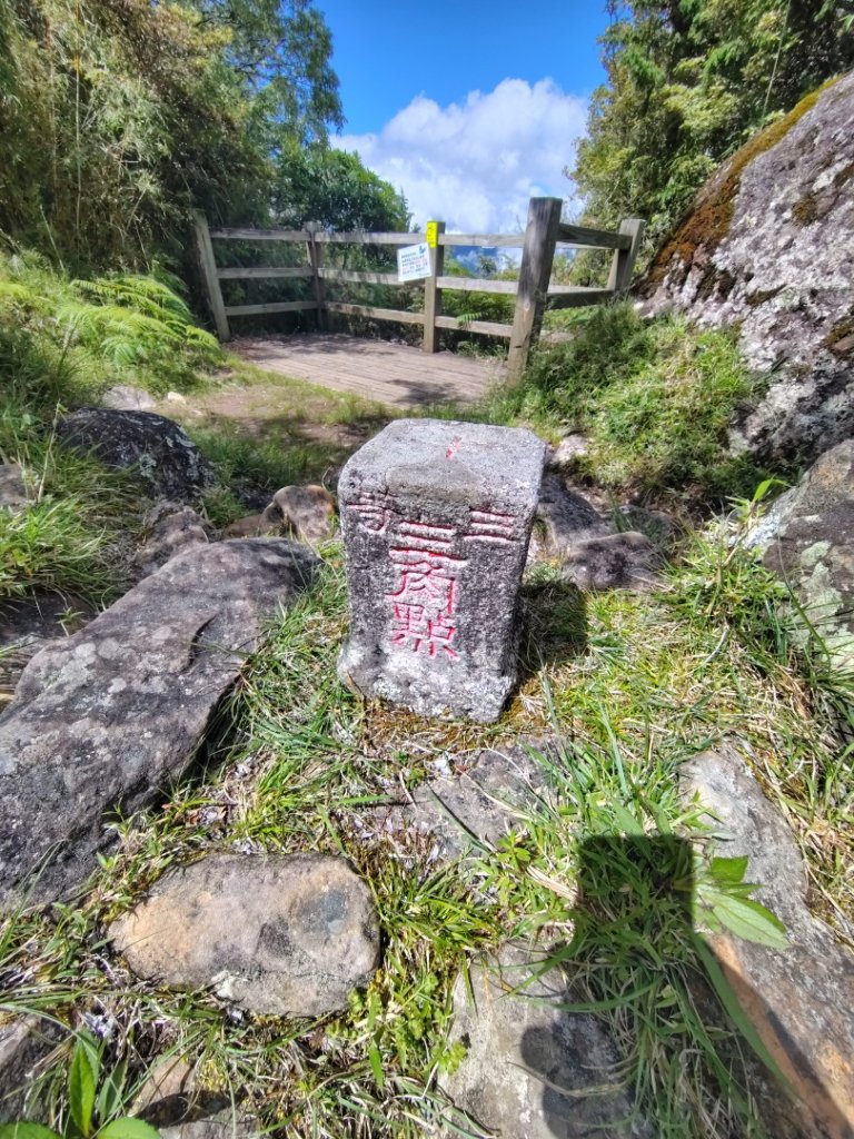 沙里仙林道、沙里仙溪、同富山/埔沙山、東埔山、阿毛巨木_2812693