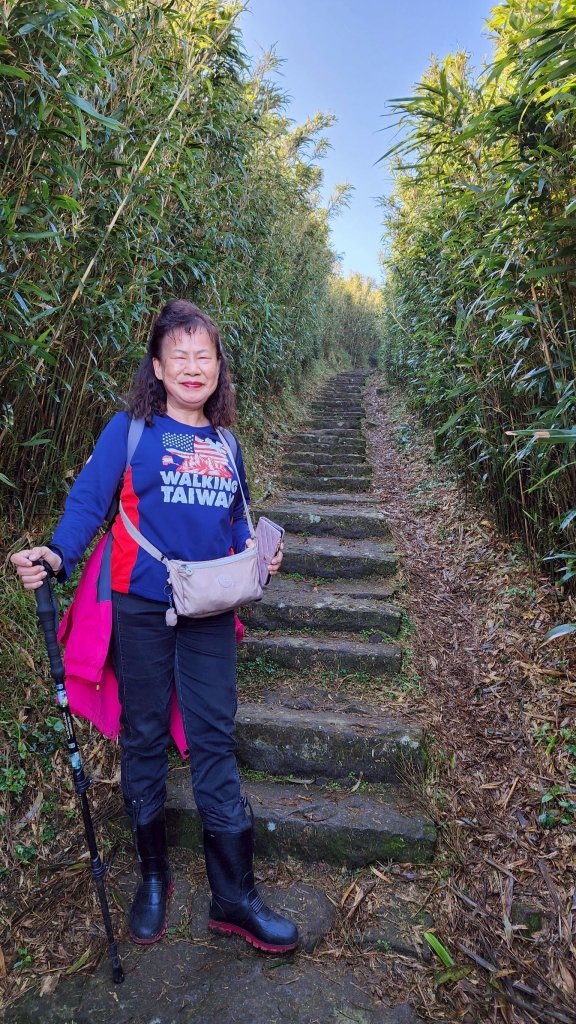 【臺北大縱走 2】【第二回合全程完成證書】鞍部→大屯山步道→大屯山主峰→大屯坪步道→二子坪步道_2960327