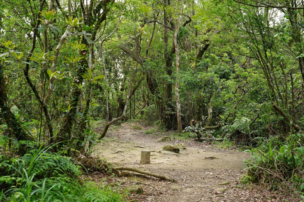 臺北 文山 指南山、猴山岳、魚衡山、大前坑山、猴山坑山、祥光寺後山、金頭山_2774980