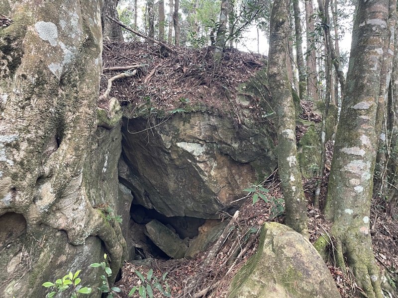 金鳳縱走_2992123