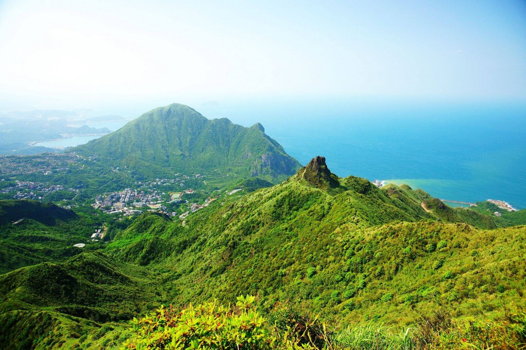 燦光寮古道與黃金三稜封面圖