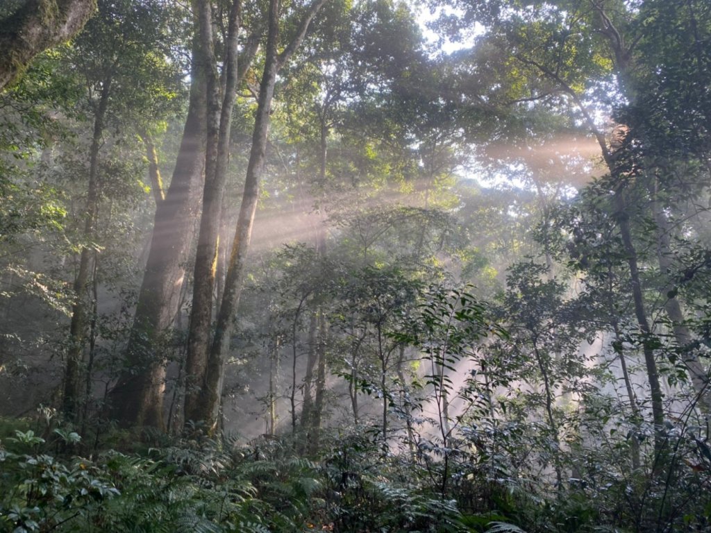 高島縱走封面圖