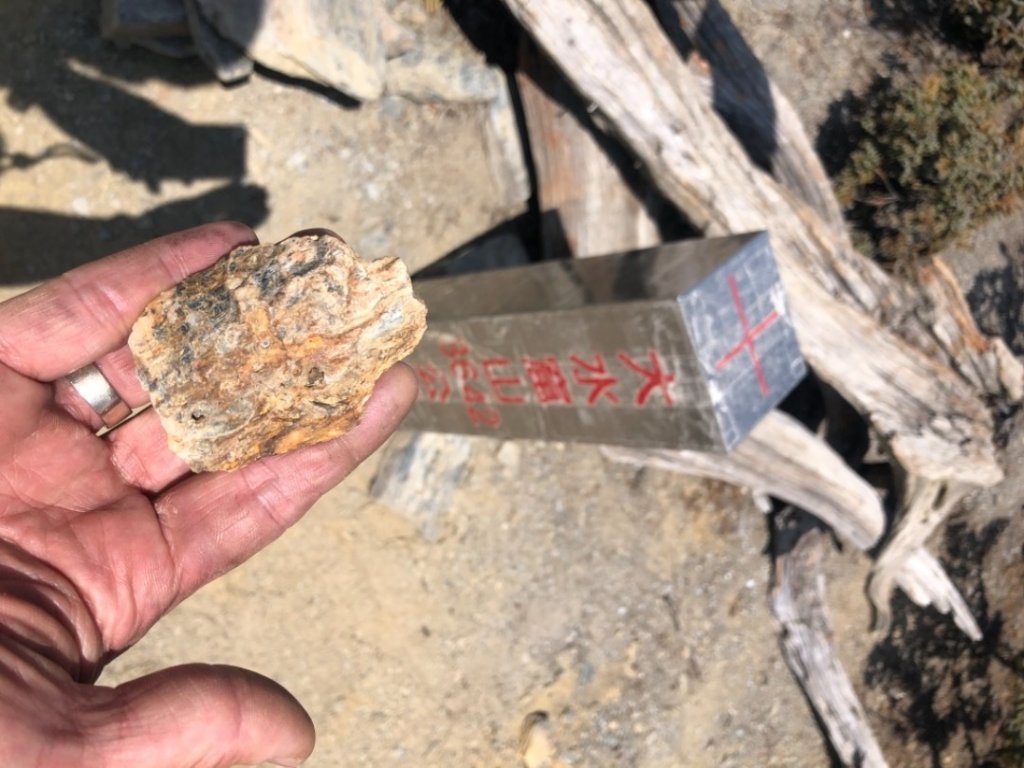 八大秀（八通關山、大水窟山、秀姑巒山）_1459827