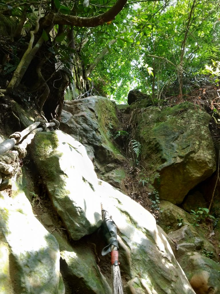 五寮尖 O 型之旅_396852