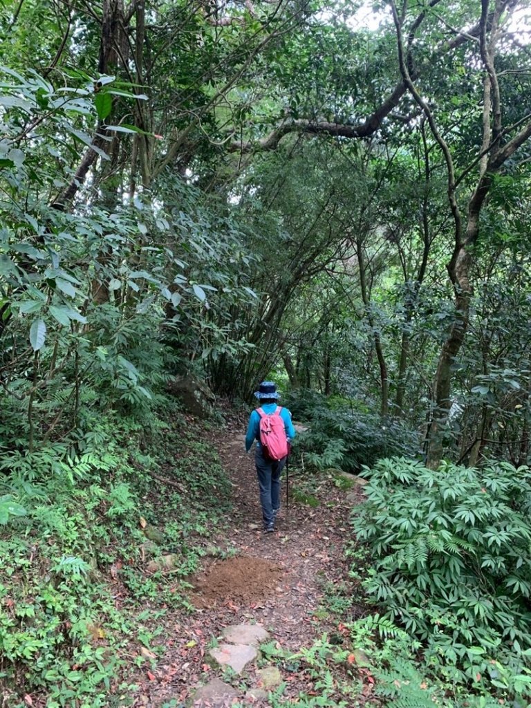 荷蘭古道—嵩頂山西峰—內雙溪古道_1743364