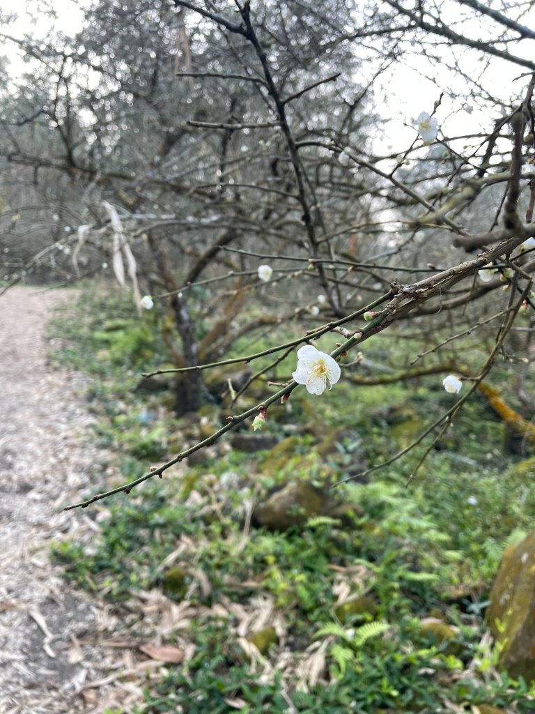 小百岳 三腳南山_2686778
