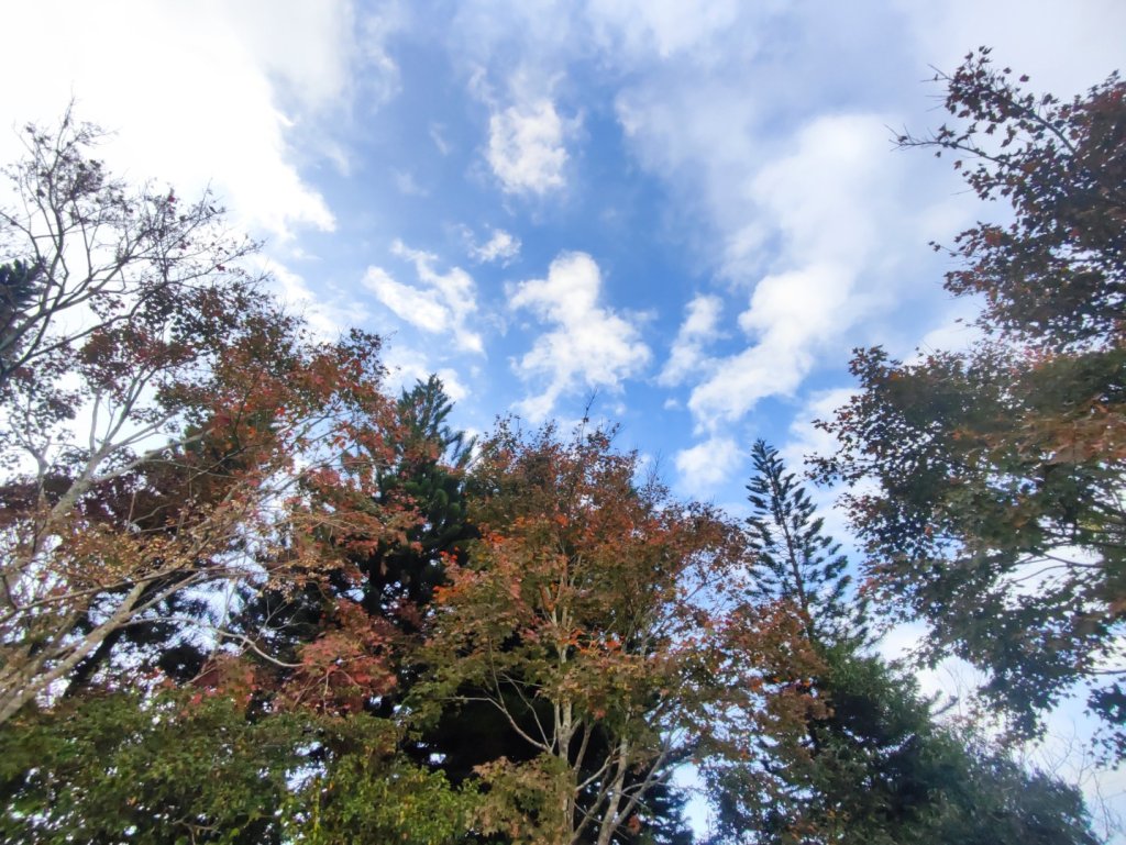 馬那邦山_2666857