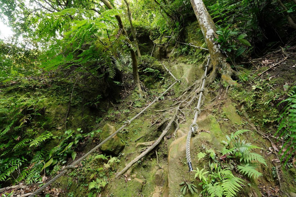 臺北 文山 指南山、猴山岳、魚衡山、大前坑山、猴山坑山、祥光寺後山、金頭山_2774969
