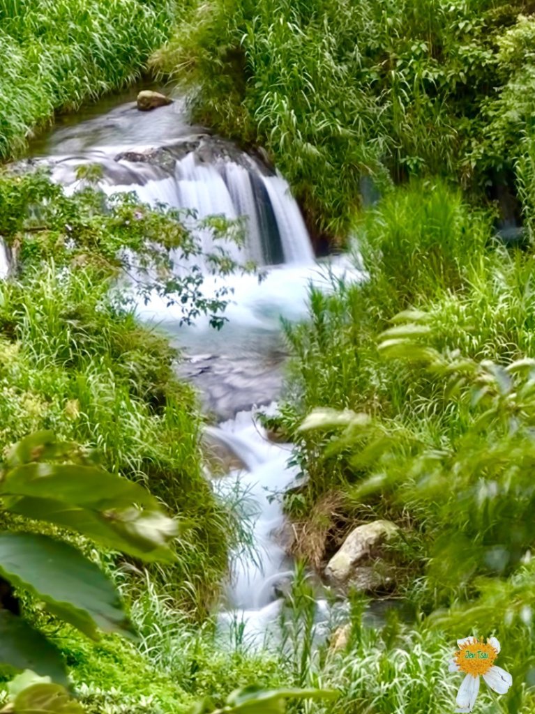 大雪山林道橫流溪 出雲山 分桂林山封面圖