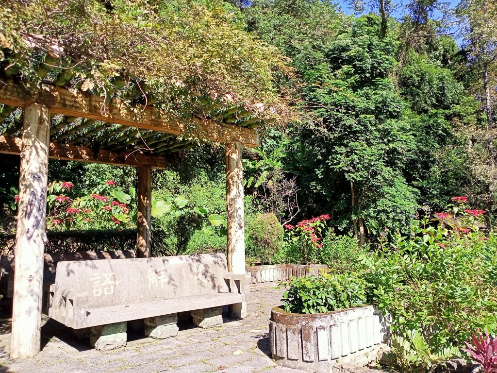 桃園大溪石門水庫楓林步道、齋明寺古道【南山神壽任務】_1963941